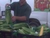 twin-garden-farms-auroras-farmers-market-east-2011