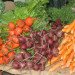 workshop veggies