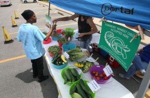 macon count hd farmers market