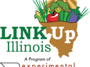 LINK Up ES logo